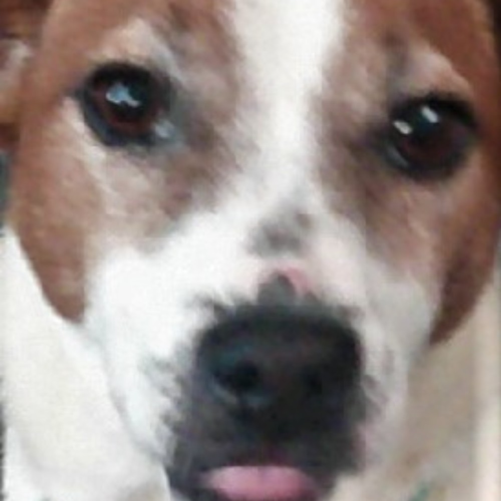 Meet your Posher, Jade Jackson